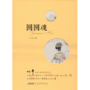 圆圆魂/叶辛 作品