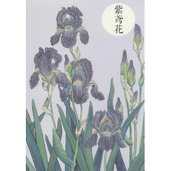 祝大年格调笔记系列紫鸢花