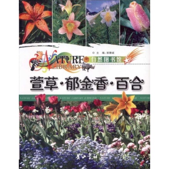 萱草.郁金香.百合 