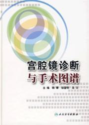 宫腔镜诊断与手术图谱 免运费