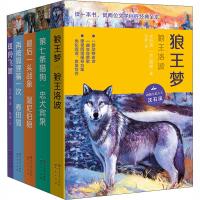 沈石溪动物小说 西顿动物小说 经典作品共读(全5册)