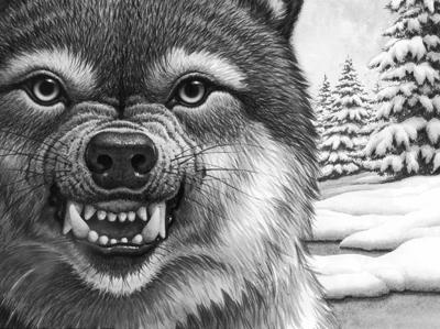 《绝境狼王系列:星梯的召唤》【摘要