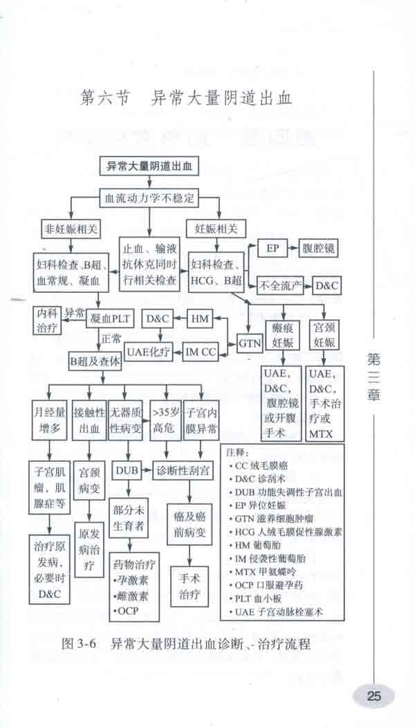 妇科效率手册-朱兰沈铿-妇产科学