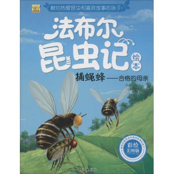 法布尔昆虫记绘本•捕蝇蜂:合格的母亲(彩绘美图版)