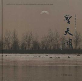 圣天湖 免运费