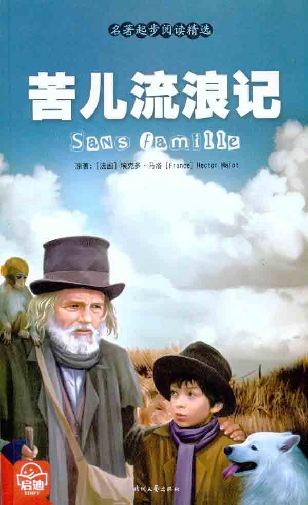 苦儿流浪记,外国,图书