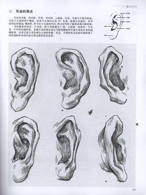 学院派基础美术新航线素描教程·素描头像-张雷-技法教程-文轩网