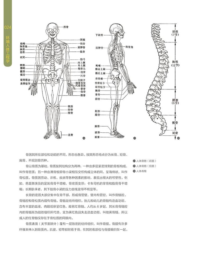 环境人体工程学(新1版)