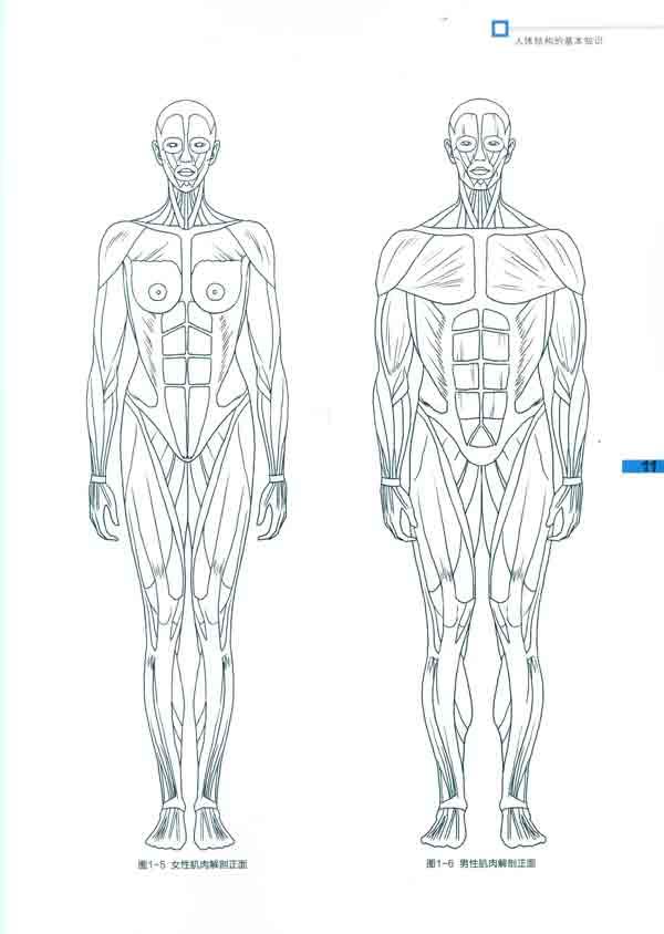 我想学服装设计