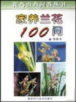 家养兰花100问//花鸟虫鱼问答丛书