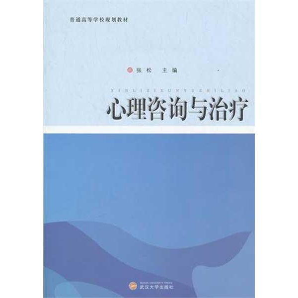 心理咨询与治疗相关产品 二级心理咨询师用书