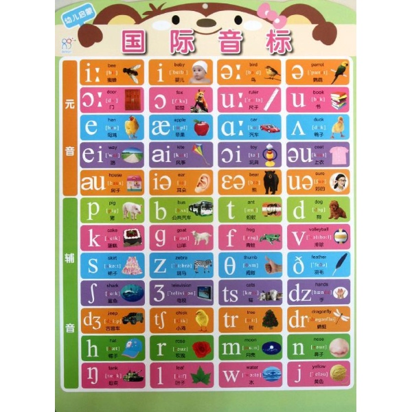 国际音标手抄报 小学
