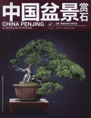 中国盆景赏石.2012-2