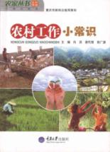 农村工作小常识(农家丛书·小常识系列)