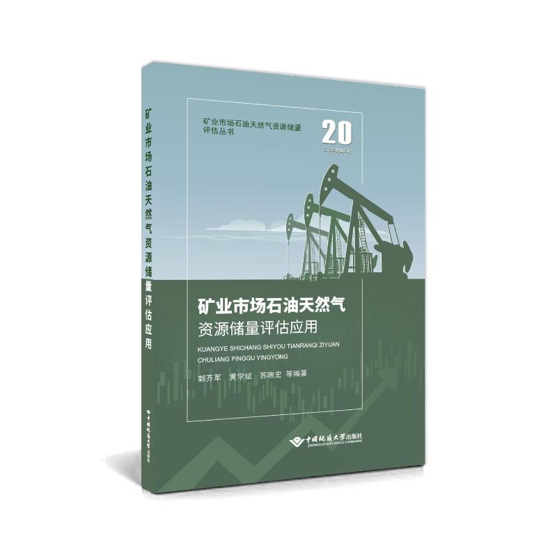 矿业市场石油天然气资源储量评估应用