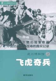 飞虎奇兵