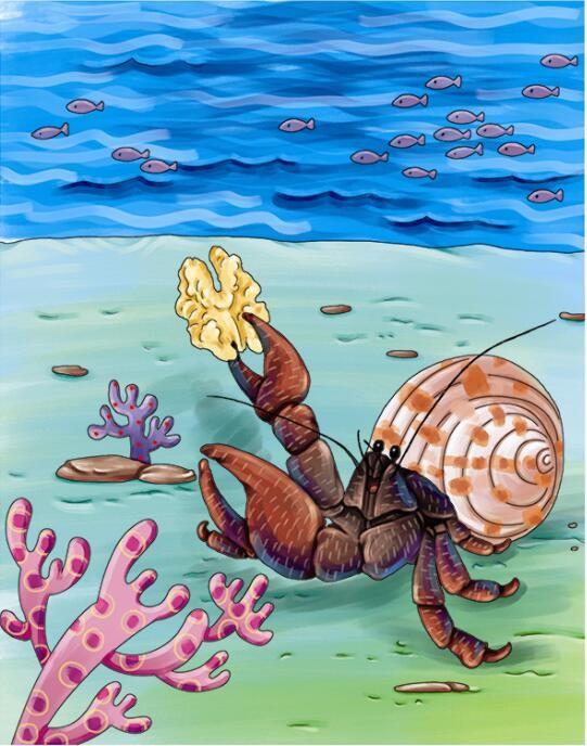 我们的家园·走近海洋椰子蟹侦探