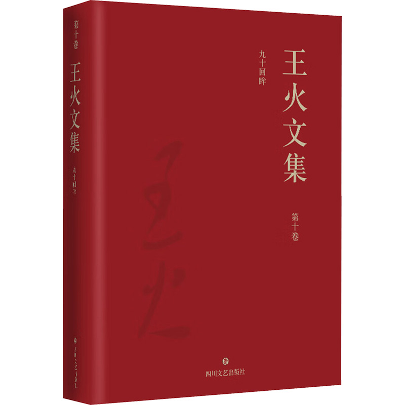  王火文集 第十卷 九十回眸 