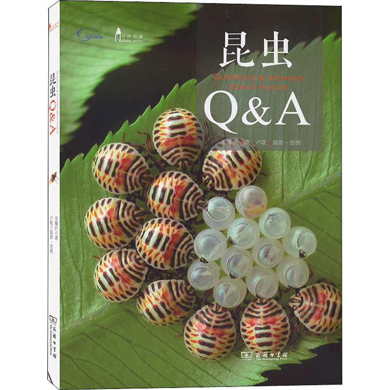  昆虫Q&A 