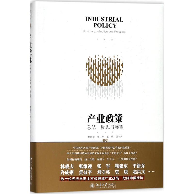  产业政策:总结、反思与展望：总结、反思与展望 林毅夫、张维迎、张军等领衔，数十位经济学家全方位解读产业政策，把脉中国产业发展方向和宏观经济走向 