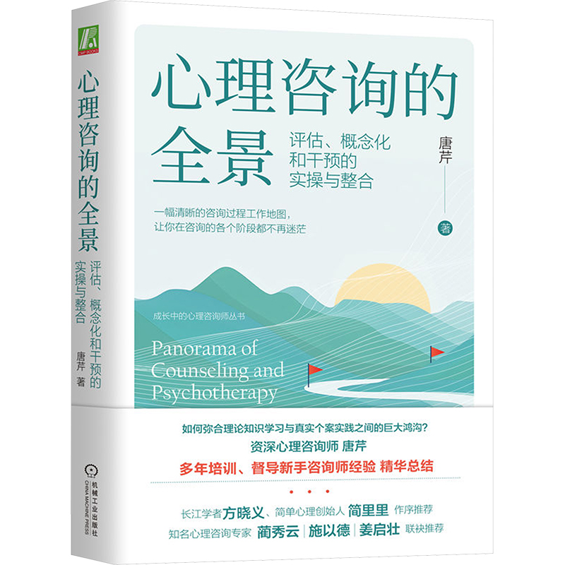  心理咨询的全景 评估、概念化和干预的实操与整合 