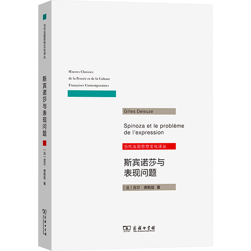  斯宾诺莎与表现问题 