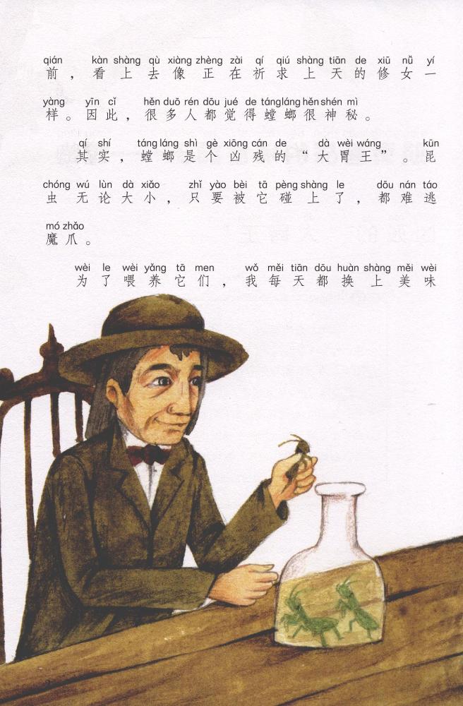 法布尔昆虫记彩绘本骁勇善战的捕食霸王:螳螂 草丛里的跳跃高手:蝗虫