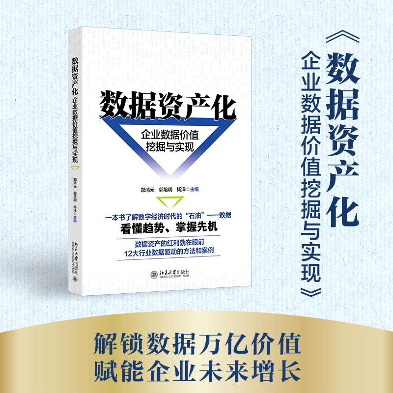  数据资产化 企业数据价值挖掘与实现 