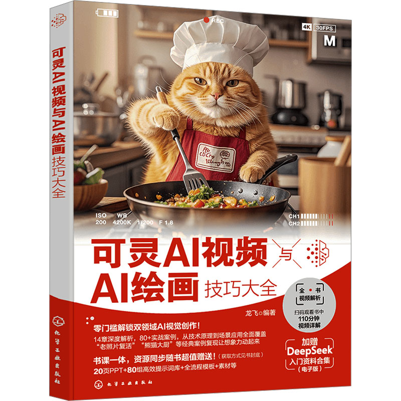  可灵AI视频与AI绘画技巧大全 可灵AI视频生成技巧；即梦AI海螺AI通用视频生成教程；AI视频制作剪辑一本通 