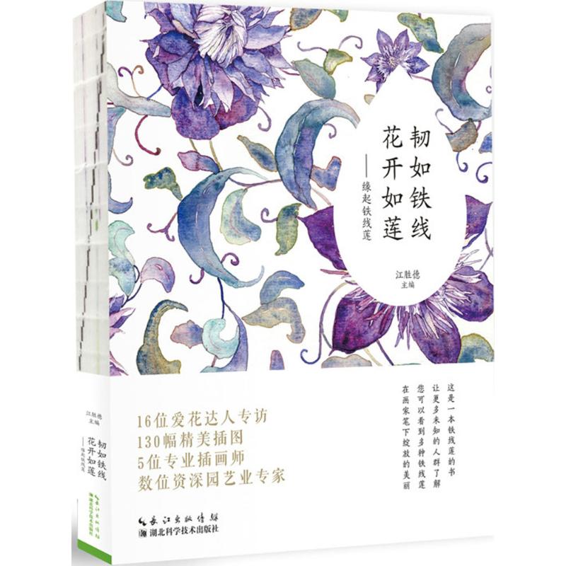  韧如铁线,花开如莲：缘起铁线莲 