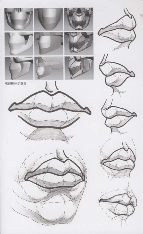 嘴部线条表现 嘴部结构素描表现 嘴部的结构与光影 嘴部步骤表现 男