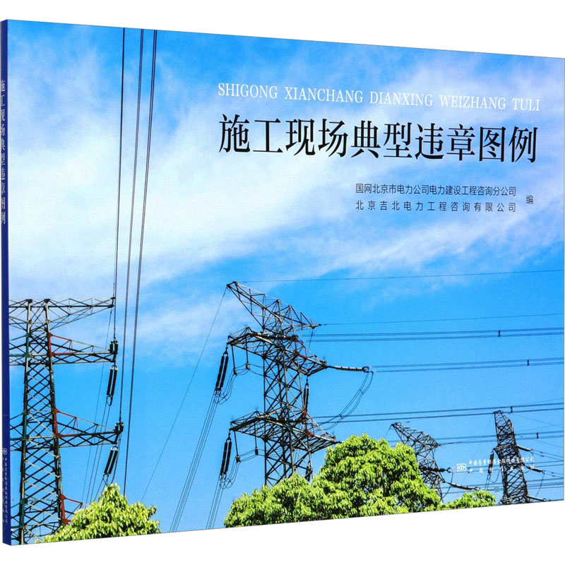  施工现场典型违章图例 