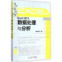 Excel 2013数据处理与分析