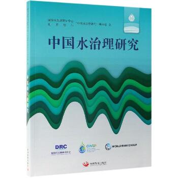 中国水治理研究